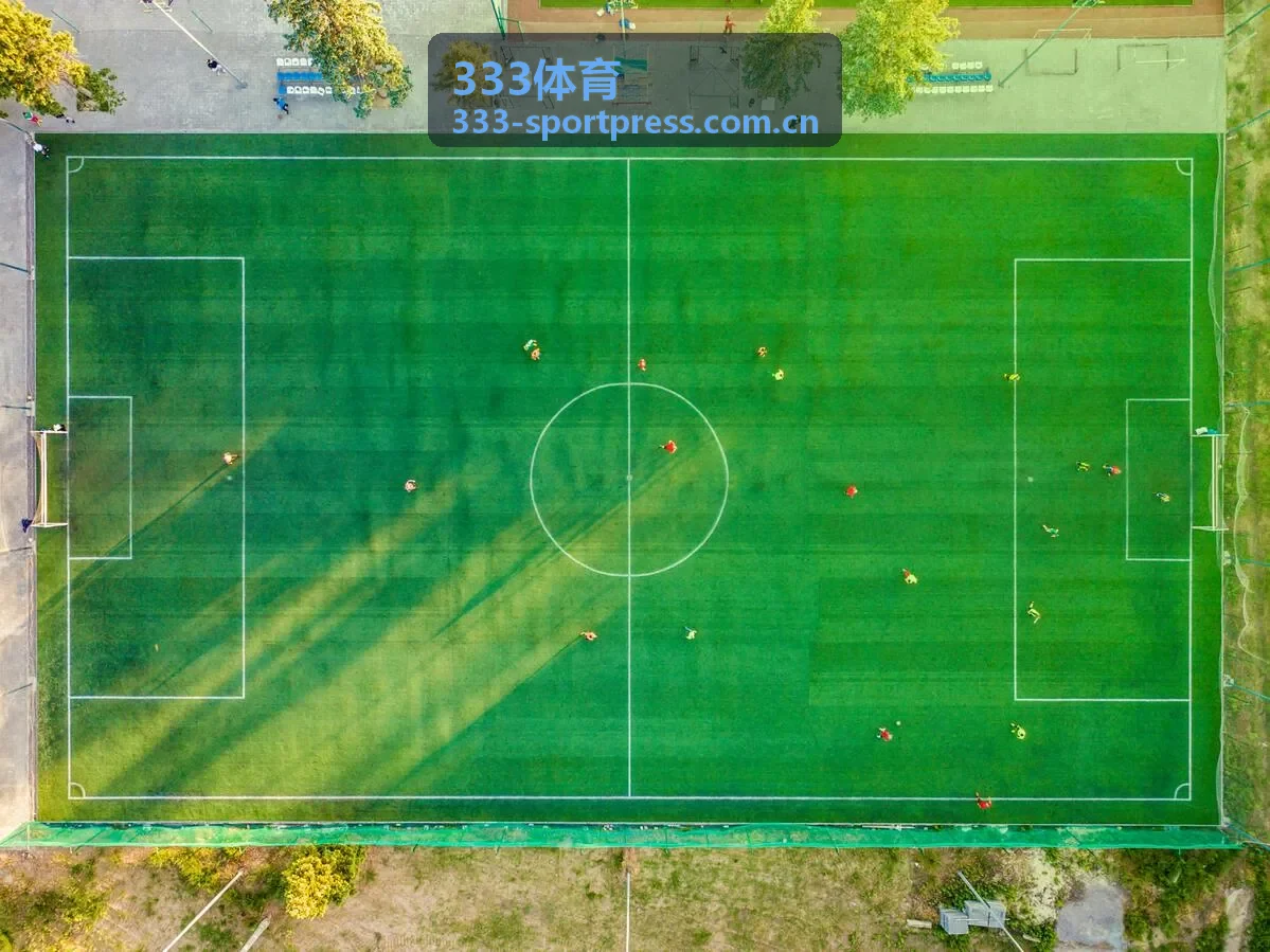 333体育职业级比赛用球触感实测